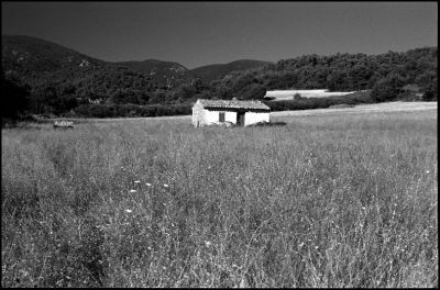 tmax@320073-border.jpg