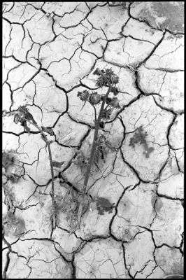 tmax@320081-border.jpg
