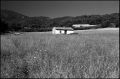 tmax@320073-border.jpg