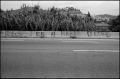 tmax@320075-border.jpg