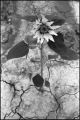 tmax@320078-border.jpg