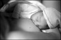 tmax@320094-border.jpg