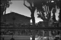 tmax@320098-border.jpg