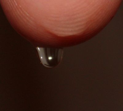 goutte
