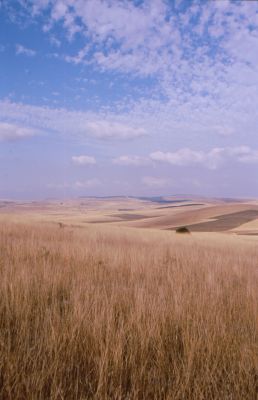 Causse_-_3.jpg