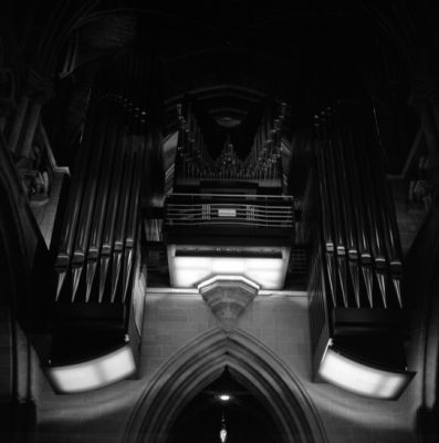 orgue.jpg