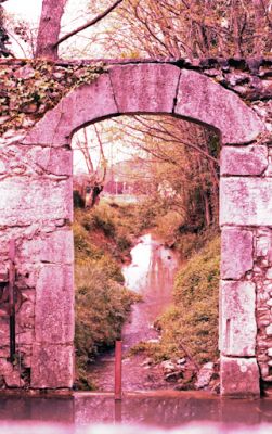 2009_04_sensia_100_c41018.jpg