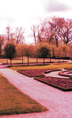 jardin à gaillac
