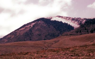 pyrénées
