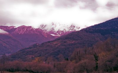 pyrénées
