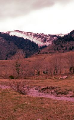 pyrénées
