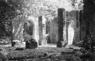 petite mosque de Mnarani (Kenya)
x500+ 50f1.7, APX400
