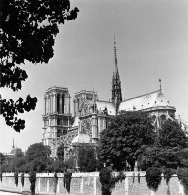 Notre dame 1
Yashica Mat 124G - scan de tirage - pris sans cellule règle du f16- HP5 rodinal
