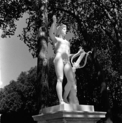 versailles
Yashica Mat 124G - scan de tirage - pris sans cellule règle du f16 - HP5 rodinal
