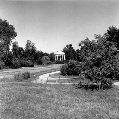 au domaine de la reine 4
Yashica Mat 124G - scan de tirage - pris sans cellule règle du f16 - HP5 rodinal
