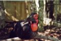 zoo_asson_1.jpg