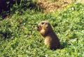 zoo_asson_21.jpg