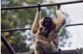 zoo_asson_25.jpg