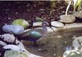 zoo_asson_3.jpg