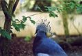 zoo_asson_4.jpg