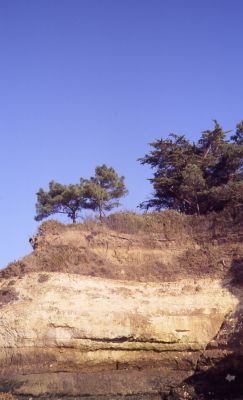 CanonQL1702.JPG