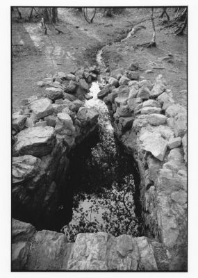 source de Merlin
foret de Broceliande
