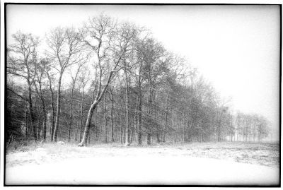 tempete de neige2
