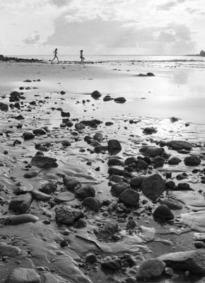Sirènes d'automne
Mots-clés: Bretagne