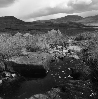 ecosse-16.jpg