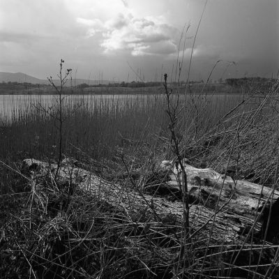 ecosse-24.jpg