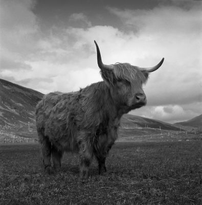 ecosse-25~0.jpg