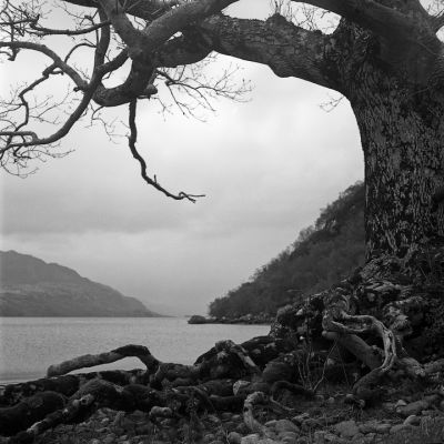 ecosse-26.jpg