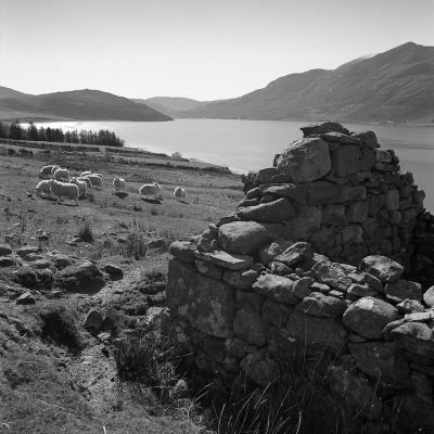 ecosse-35.jpg