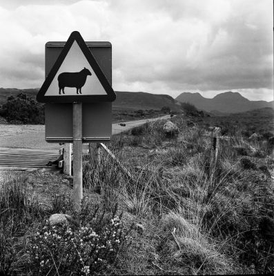 ecosse-44.jpg