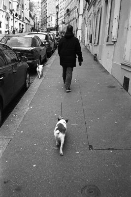paris-1021.jpg