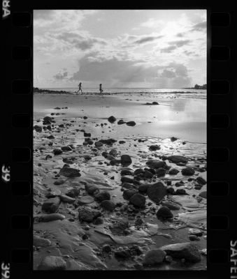 plagei.jpg