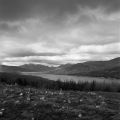 ecosse-5.jpg