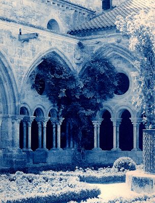 Cloitre Fonfroide cyanotype
Toyo 810MII Schneider SA210 contact 20x25 traité en cyanotypie
