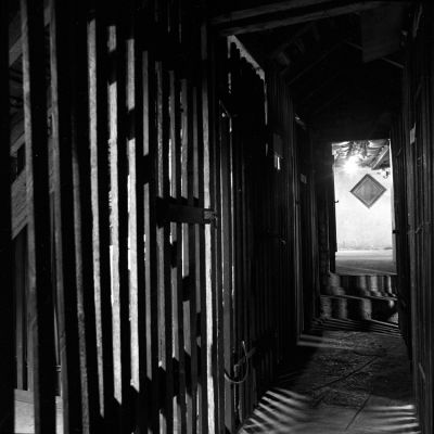 Grenier
Blad 501CM 50mm APX 100 PMK-pyro
