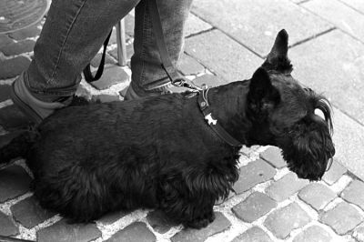 Otto
Leica R6.2 50mm Tri-X PMK pyro
