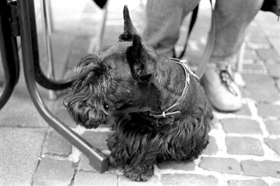 Otto
Leica R6.2 50mm Tri-X PMK pyro
