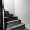 maison019tw.jpg