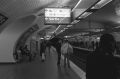 paris011w.jpg