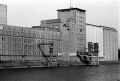portrhin032w.jpg