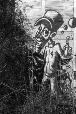 "Tramp"...
.., surpris dans une Friche Industrielle Rhénane. 
