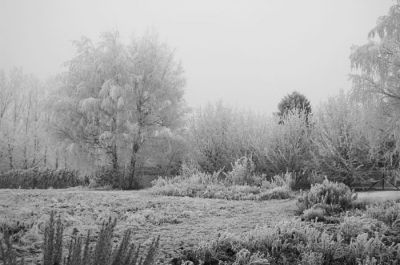 Givre ...
... un 24 Décembre ... 
