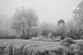 Givre-35mm-bw011.jpg