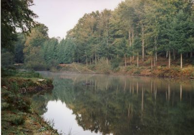 Yashica electro 35 GSN
