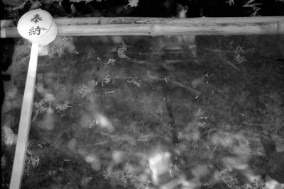 Au fond du bassin de lavage consacré pour un temple de Kurama
