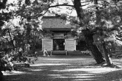 temple en novembre
Le temple de Kanman, novembre 2007
